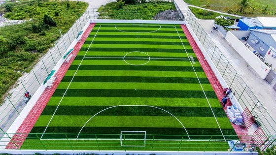50mm Pile Height Artificial Grass with Easy Installation Soft Touch and High Tenacity for Football Fields