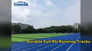 Professional Full Polyurethane Running Track Systems