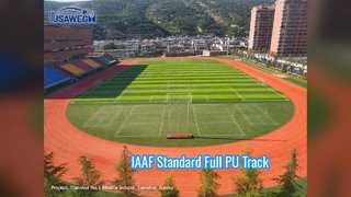Professional IAAF Full PU Running Track 13mm Standard